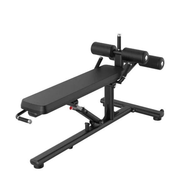 Insight Fitness RE series Decline Adjustable Bench